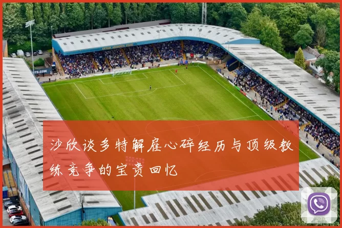 沙欣谈多特解雇心碎经历与顶级教练竞争的宝贵回忆