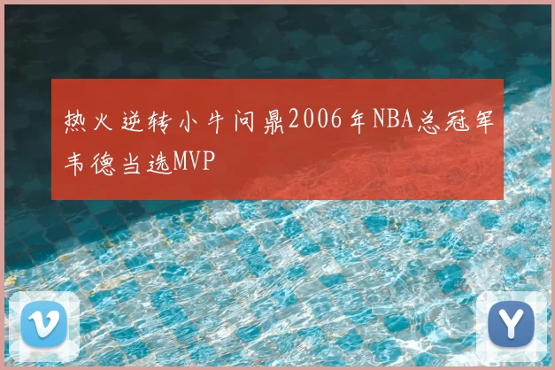 热火逆转小牛问鼎2006年NBA总冠军韦德当选MVP