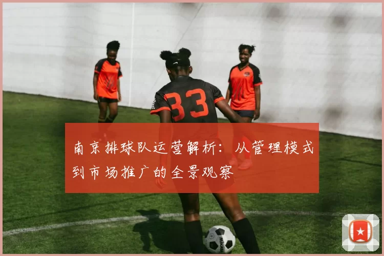南京排球队运营解析：从管理模式到市场推广的全景观察