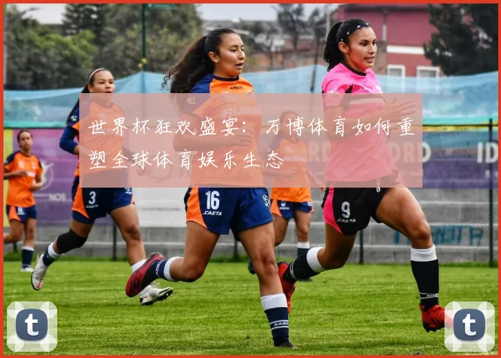 世界杯狂欢盛宴：万博体育如何重塑全球体育娱乐生态
