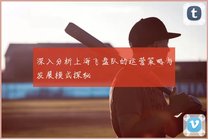 深入分析上海飞盘队的运营策略与发展模式探秘