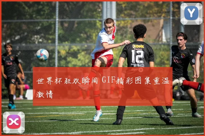 世界杯狂欢瞬间 GIF精彩图集重温激情