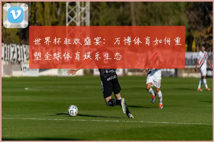 世界杯狂欢盛宴：万博体育如何重塑全球体育娱乐生态