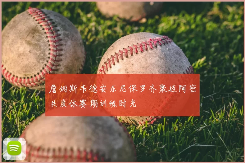 詹姆斯韦德安东尼保罗齐聚迈阿密共度休赛期训练时光