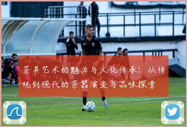 茶具艺术的魅力与文化传承:从传统到现代的茶器演变与品味探索