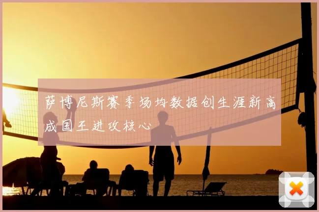 萨博尼斯赛季场均数据创生涯新高成国王进攻核心
