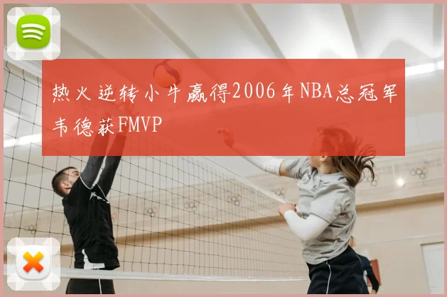 热火逆转小牛赢得2006年NBA总冠军韦德获FMVP