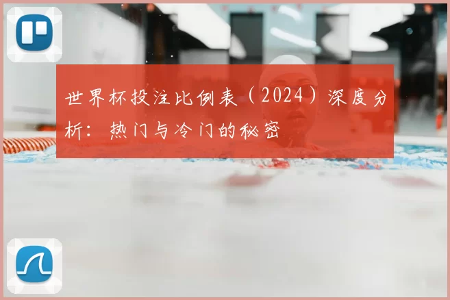 世界杯投注比例表（2024）深度分析：热门与冷门的秘密