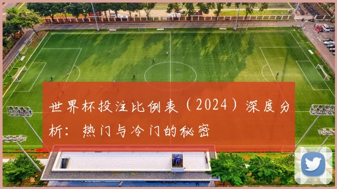 世界杯投注比例表(2024)深度分析:热门与冷门的秘密