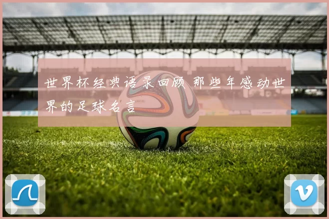 世界杯经典语录回顾 那些年感动世界的足球名言