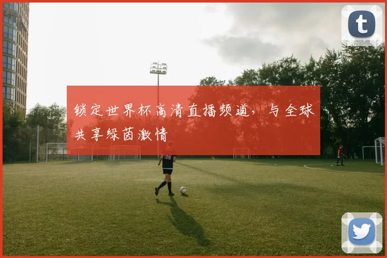 锁定世界杯高清直播频道,与全球共享绿茵激情